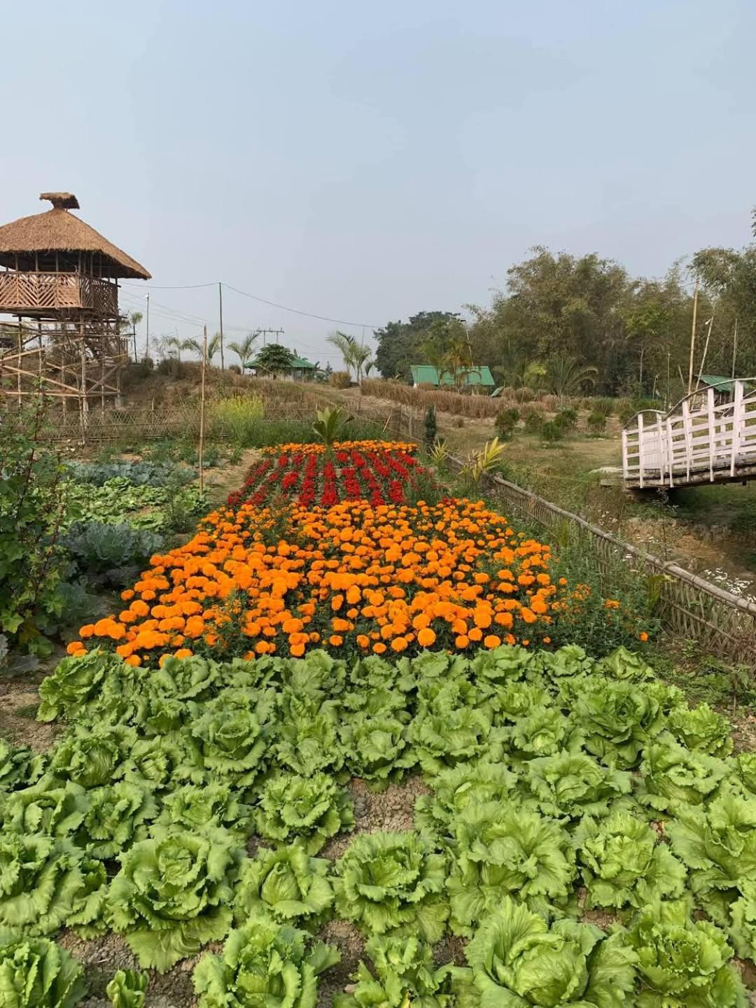 דיברוגר Bogibil Eco Resort New מראה חיצוני תמונה