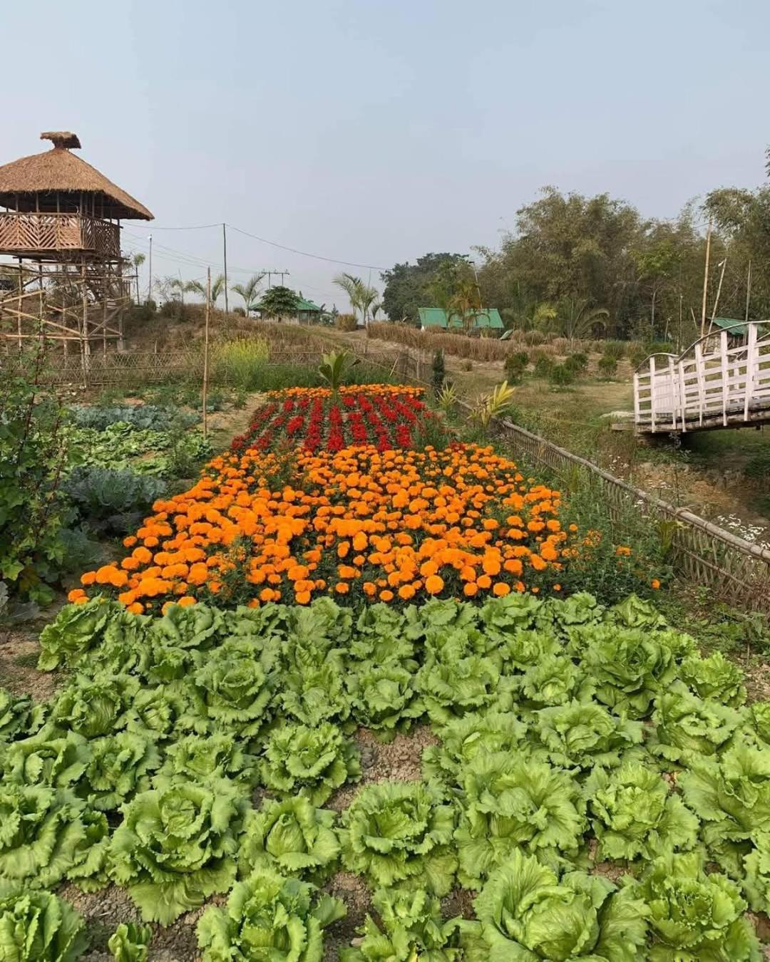 דיברוגר Bogibil Eco Resort New מראה חיצוני תמונה